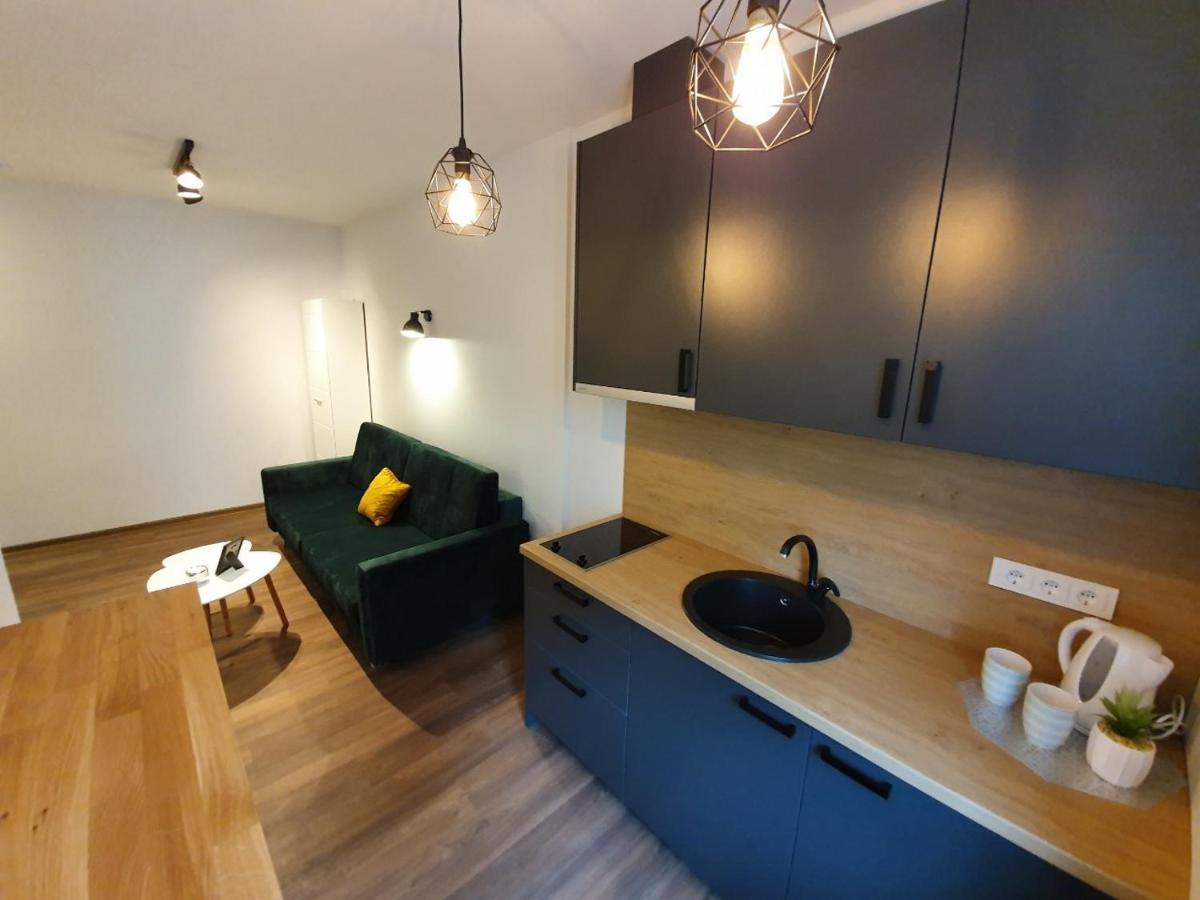 Oak House Apartments Каунас Екстер'єр фото